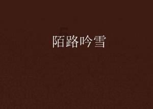 牛仔复仇记