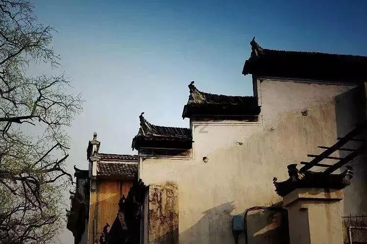埋葬的秘密